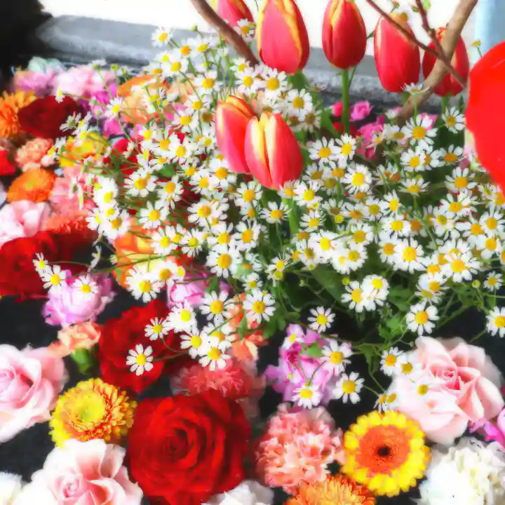 三津厳島神社の手水舎