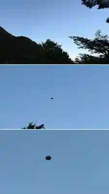 函館八幡宮(北海道)