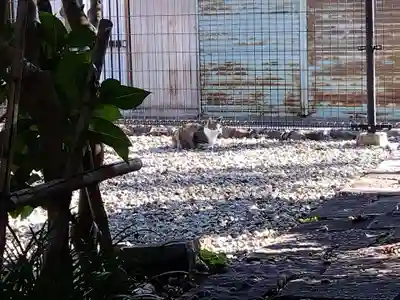 喜見寺(愛知県)