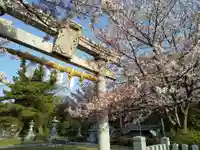 白山神社の鳥居