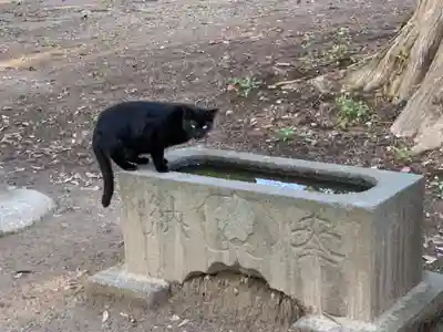 三嶋神社(千葉県)