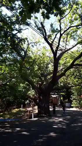 相馬神社(北海道)