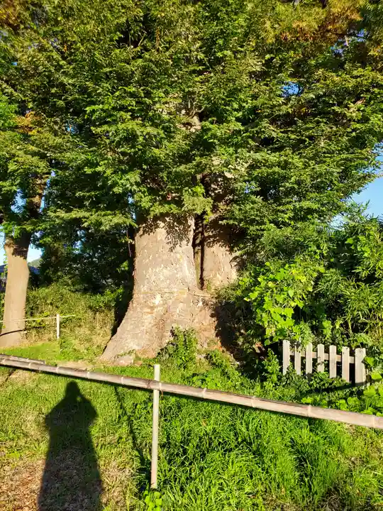 頤氣神社(長野県)