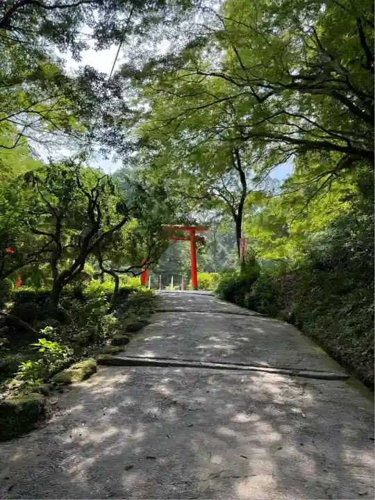 天開稲荷社(福岡県)