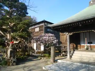 極楽寺（霊鷲山感應院極楽律寺）の本殿・本堂