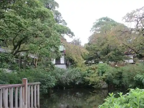 時宗総本山 遊行寺（正式：清浄光寺）(神奈川県)