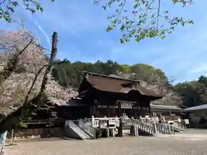 手力雄神社(岐阜県)(2023年04月02日(日) 10時31分24秒投稿)
