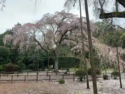長光寺(千葉県)