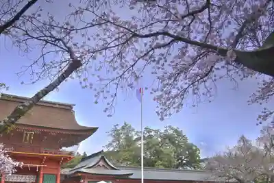 富士山本宮浅間大社(静岡県)