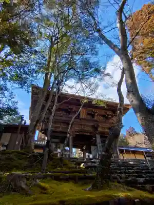 神護寺の{uncategorized: "未分類", other: "その他", undefined: "問題あり", building: "その他建物", grave: "お墓", sacred_gate: "鳥居", guardian: "狛犬", statue: "像", buddha: "仏像", history: "歴史", nature: "自然", garden: "庭園", animal: "動物", pagoda: "塔", temizu: "手水舎", mountain_gate: "山門・神門", sanctuary: "本殿・本堂", subordinate: "末社・摂社", art: "芸術", scenery: "景色", jizo: "地蔵", ema: "絵馬", goshuin: "御朱印", omikuji: "おみくじ", items: "授与品その他", amulet: "お守り", goshuincho: "御朱印帳", eats: "食事", festival: "お祭り", votive_dance: "神楽", shichigosan: "七五三参", wedding: "結婚式", experience: "体験その他", initially: "初詣", around: "周辺", anti_infection: "感染症対策"}