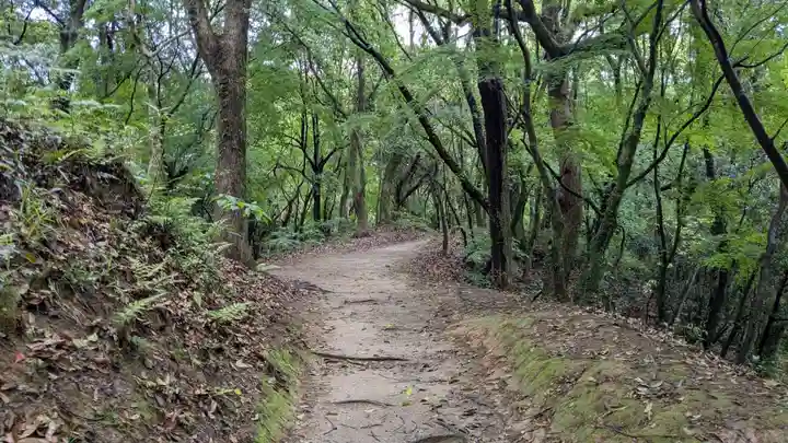 天開稲荷社の自然