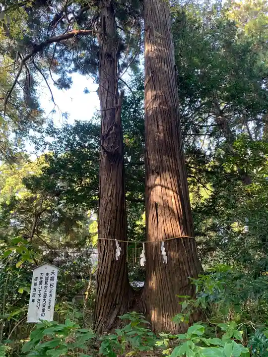 側高神社(千葉県)