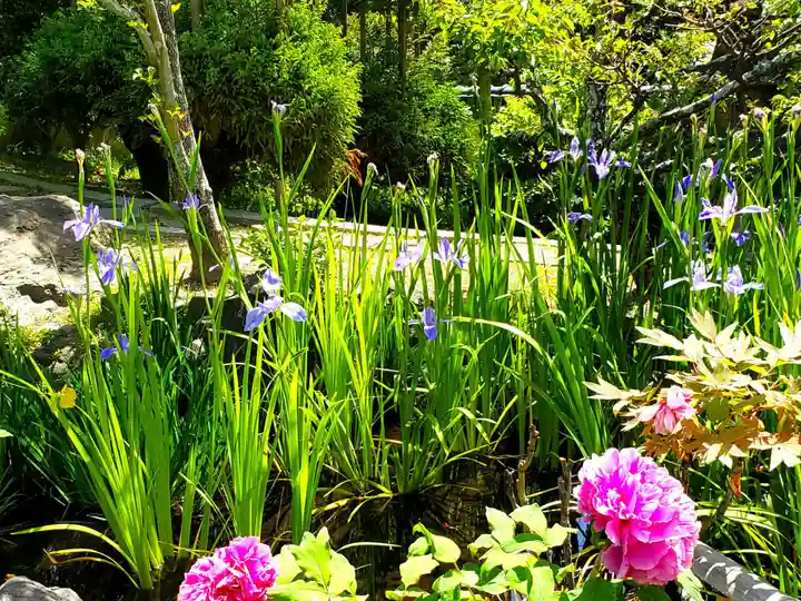 福祥寺(須磨寺)の自然
