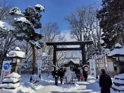 旭川神社の初詣