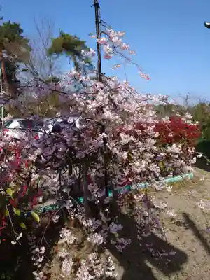 上道神社(新潟県)