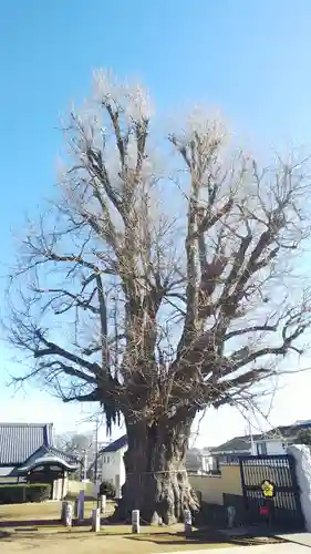 長照寺のその他建物