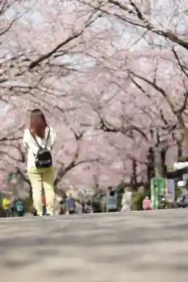 密藏院(埼玉県)