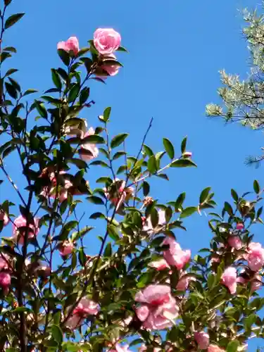 六甲比命大善神社の自然