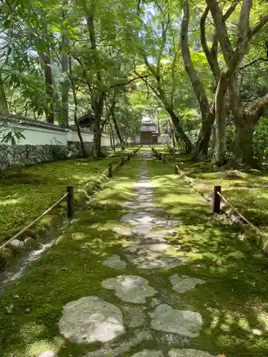 西芳寺(京都府)