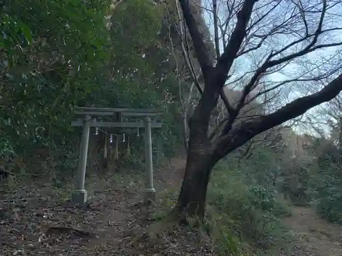 浅間神社の鳥居