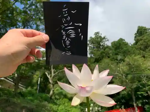 普門寺(切り絵御朱印発祥の寺)(愛知県)