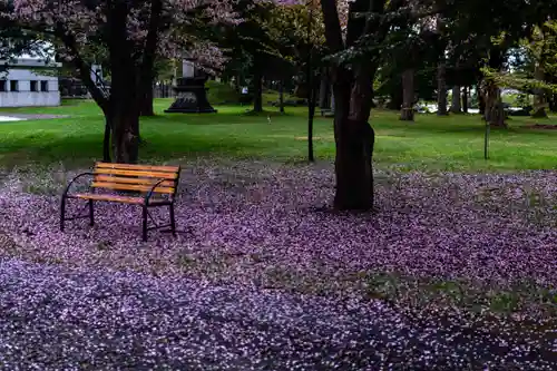 北海道護國神社の庭園