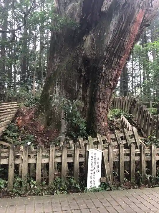 幣立神宮(熊本県)