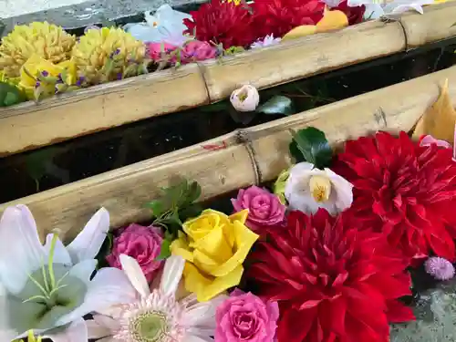 札幌護國神社の手水