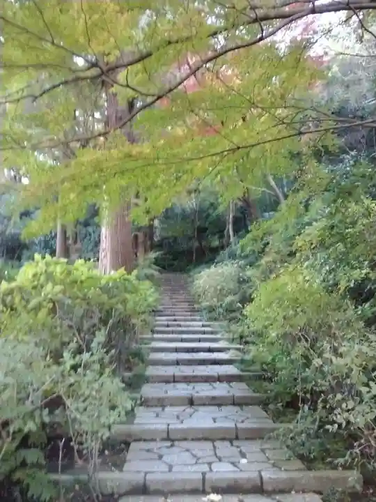 瑞泉寺(神奈川県)