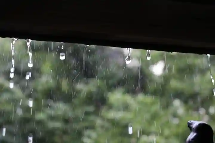 くまくま神社(導きの社 熊野町熊野神社)のその他建物