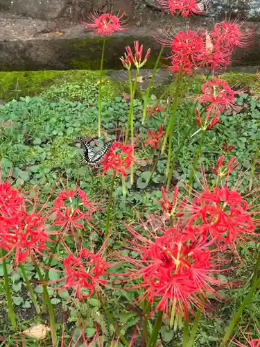 横浜　西方寺(神奈川県)