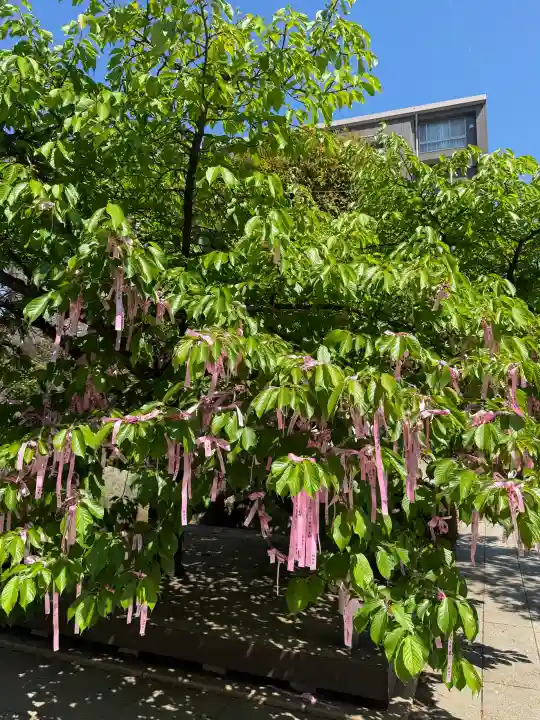 桜神宮の{uncategorized: "未分類", other: "その他", undefined: "問題あり", building: "その他建物", grave: "お墓", sacred_gate: "鳥居", guardian: "狛犬", statue: "像", buddha: "仏像", history: "歴史", nature: "自然", garden: "庭園", animal: "動物", pagoda: "塔", temizu: "手水舎", mountain_gate: "山門・神門", sanctuary: "本殿・本堂", subordinate: "末社・摂社", art: "芸術", scenery: "景色", jizo: "地蔵", ema: "絵馬", goshuin: "御朱印", omikuji: "おみくじ", items: "授与品その他", amulet: "お守り", goshuincho: "御朱印帳", eats: "食事", festival: "お祭り", votive_dance: "神楽", shichigosan: "七五三参", wedding: "結婚式", experience: "体験その他", initially: "初詣", around: "周辺", anti_infection: "感染症対策"}