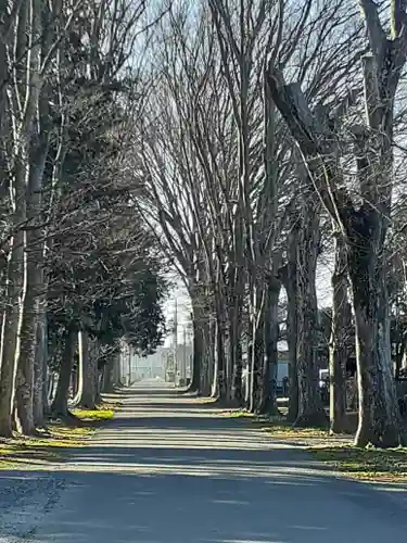 大宮神社(茨城県)