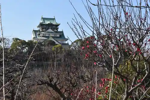 豊國神社の自然