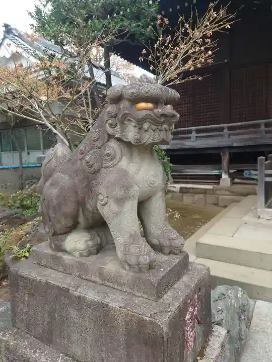 白山神社の狛犬