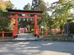 丹生都比売神社の鳥居