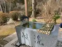 妙蔵寺の手水舎