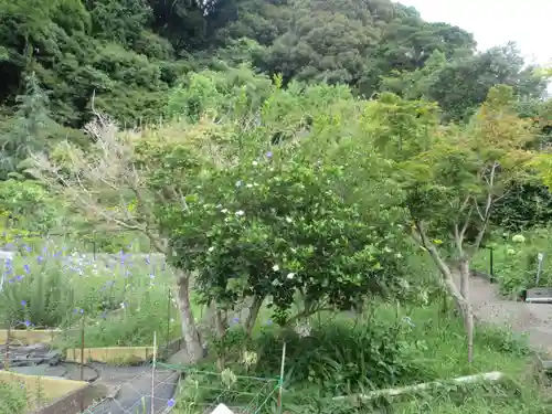 香勝寺(静岡県)