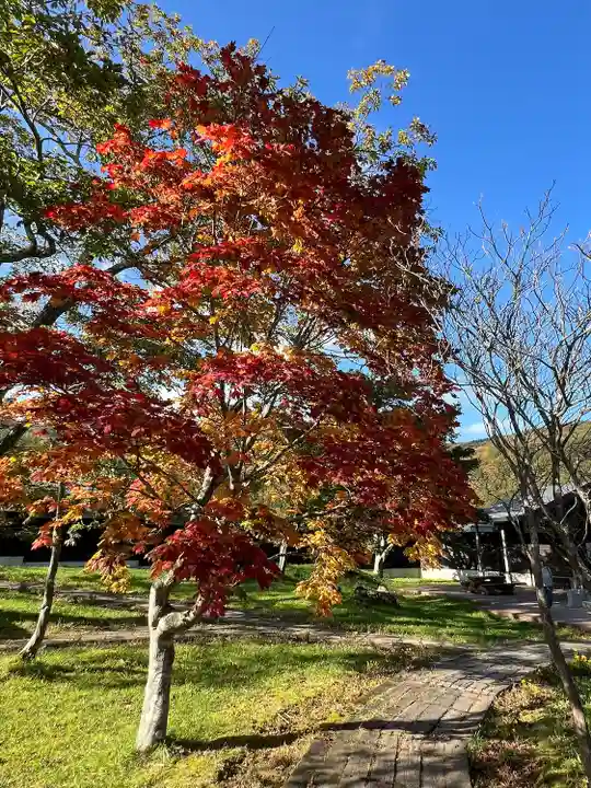 岳温泉神社 (福島県)