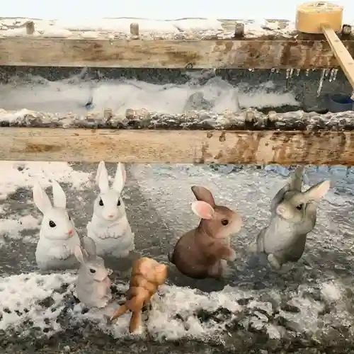 彌彦神社　(伊夜日子神社)の手水舎