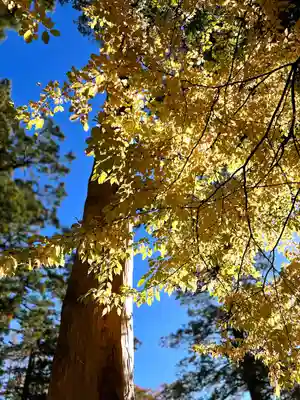 矢彦神社の自然