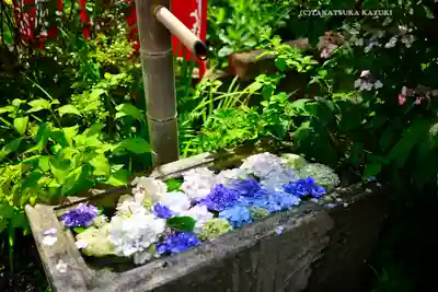 太平山神社(栃木県)
