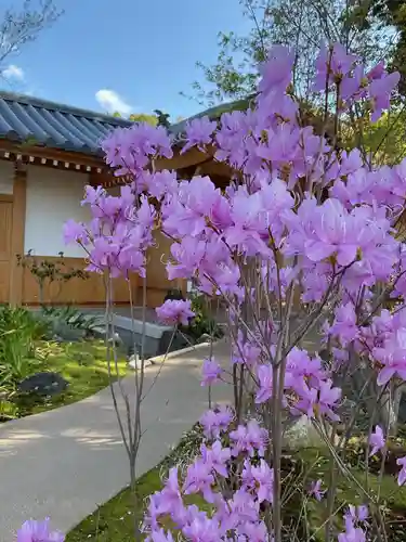 八事山 興正寺(愛知県)