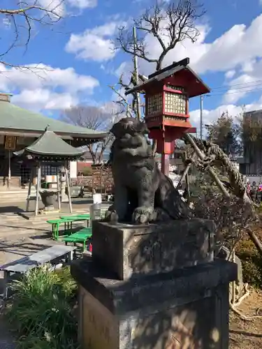 龍泉寺の狛犬