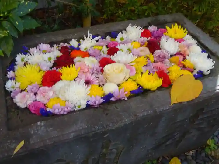 回向院の手水舎