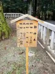 霧島神宮の建物その他