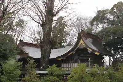 麻賀多神社(千葉県)