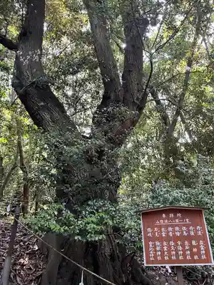美具久留御魂神社(大阪府)