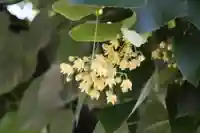くろ谷 金戒光明寺(京都府)