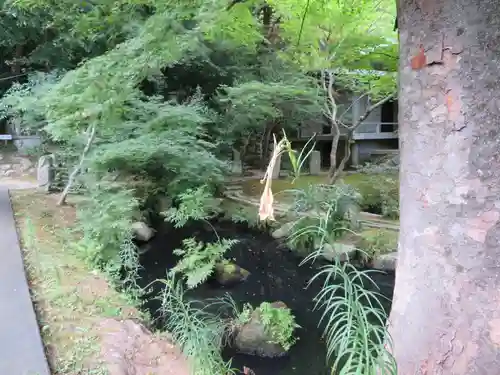 願成就院の庭園